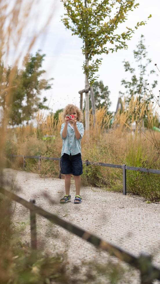 Camera - Rookie Strawbella