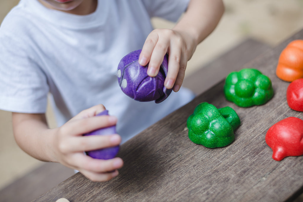 Houten speelgoed 5-kleuren groenten set - PlanToys