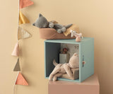 Sleeping kitten - Grey