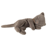 Sleeping kitten - Grey