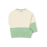 Lab sweater - Spring