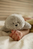 The Humming Bear 2.0 - Polar - Moonie