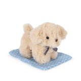 Take care of me knuffelhondje