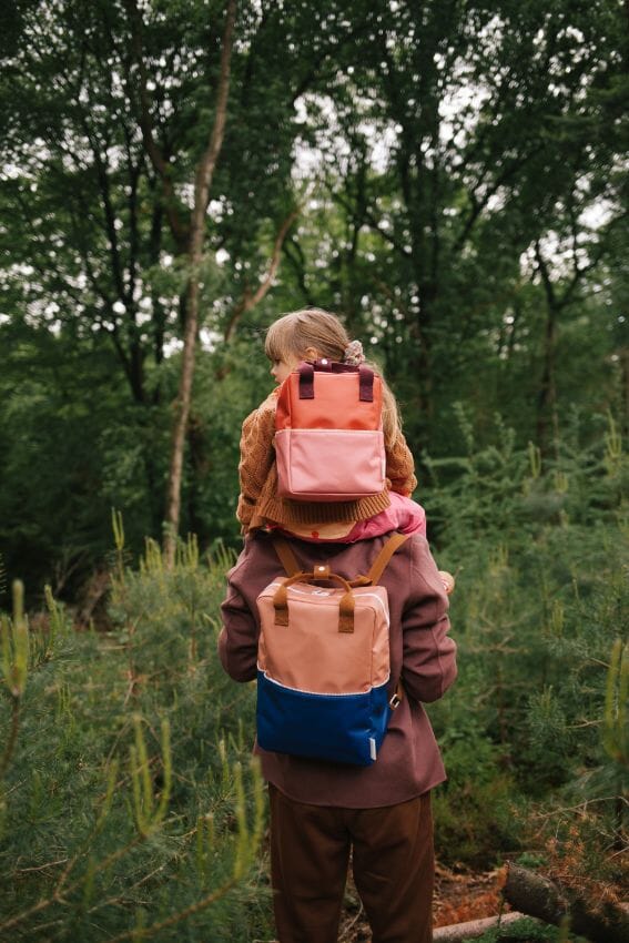 Backpack large Meadows Morning sky Deep lake blue Sticky Lemon